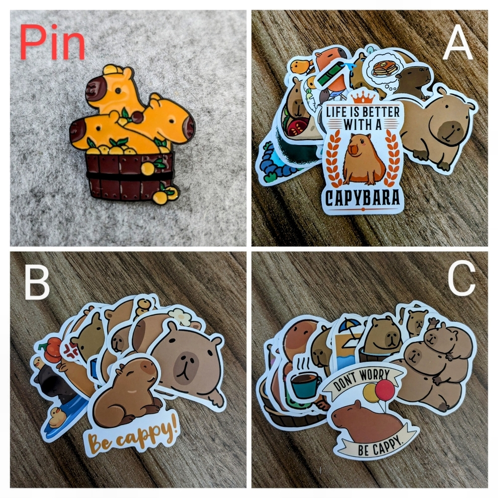 Capybara Pin + 10 Stickers Gift Set